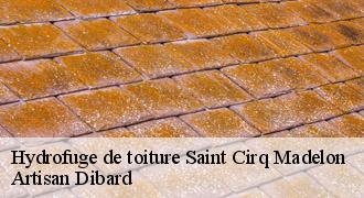 Hydrofuge de toiture