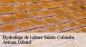Hydrofuge de toiture