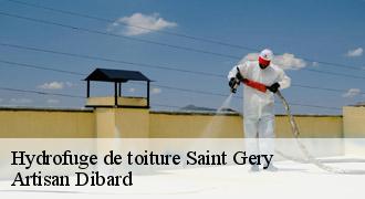 Hydrofuge de toiture