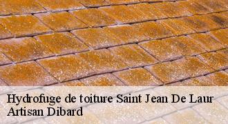 Hydrofuge de toiture