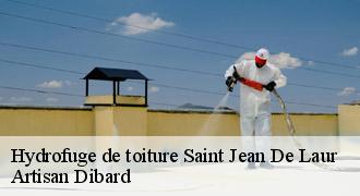 Hydrofuge de toiture