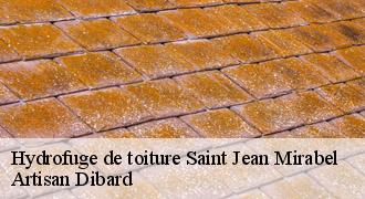 Hydrofuge de toiture
