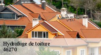 Hydrofuge de toiture