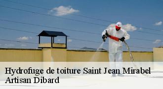 Hydrofuge de toiture