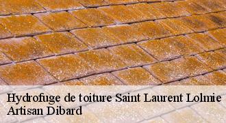 Hydrofuge de toiture