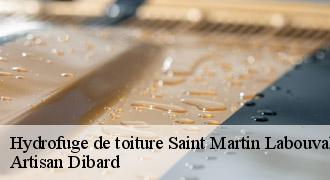 Hydrofuge de toiture