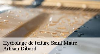 Hydrofuge de toiture