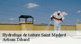 Hydrofuge de toiture