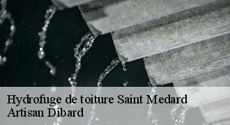 Hydrofuge de toiture