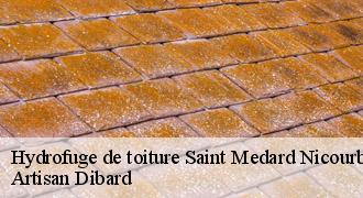Hydrofuge de toiture