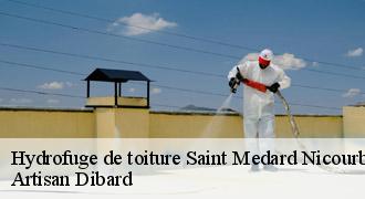 Hydrofuge de toiture