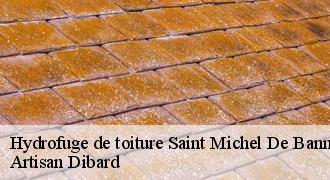 Hydrofuge de toiture