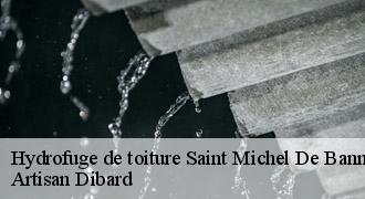 Hydrofuge de toiture
