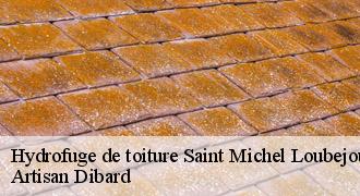 Hydrofuge de toiture