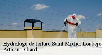 Hydrofuge de toiture