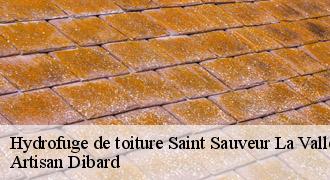 Hydrofuge de toiture