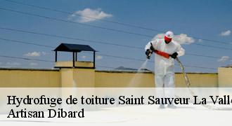 Hydrofuge de toiture