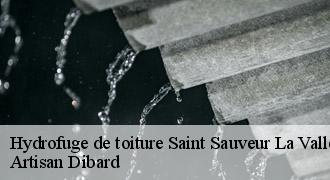 Hydrofuge de toiture