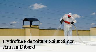 Hydrofuge de toiture