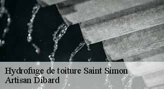 Hydrofuge de toiture