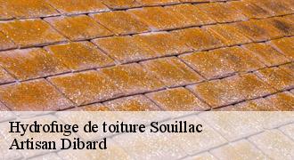 Hydrofuge de toiture