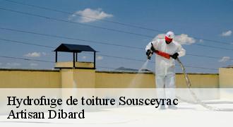 Hydrofuge de toiture
