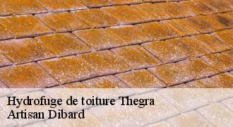 Hydrofuge de toiture