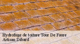 Hydrofuge de toiture