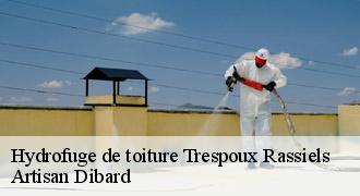 Hydrofuge de toiture