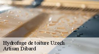 Hydrofuge de toiture