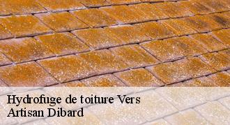 Hydrofuge de toiture