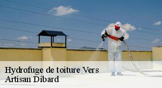Hydrofuge de toiture