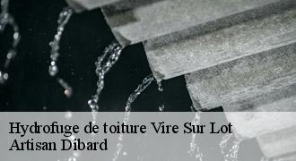 Hydrofuge de toiture