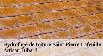 Hydrofuge de toiture