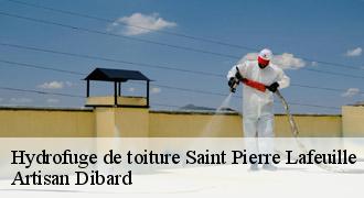 Hydrofuge de toiture
