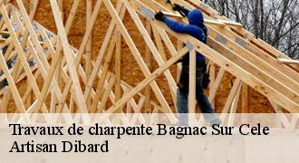 Travaux de charpente