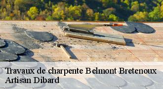 Travaux de charpente