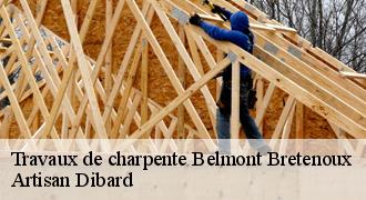 Travaux de charpente