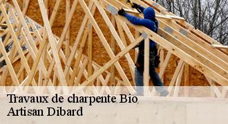 Travaux de charpente