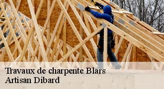 Travaux de charpente