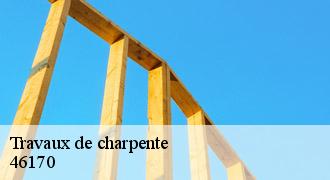 Travaux de charpente