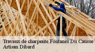 Travaux de charpente