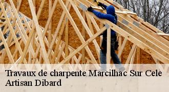 Travaux de charpente