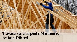 Travaux de charpente