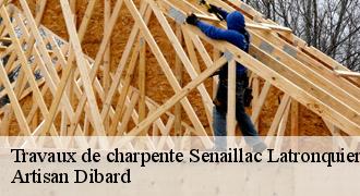 Travaux de charpente