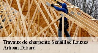 Travaux de charpente