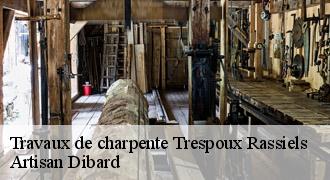 Travaux de charpente